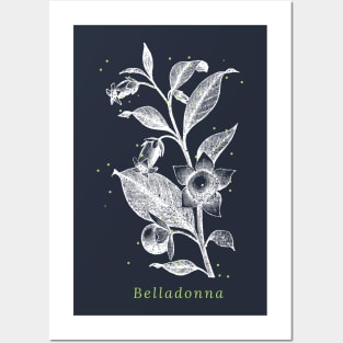 Belladonna nightshade herb botanical witch Posters and Art